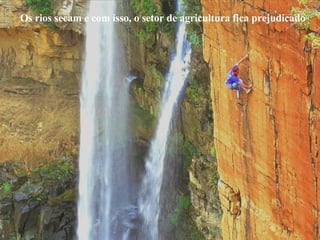 Os rios secam e com isso, o setor de agricultura fica prejudicado 