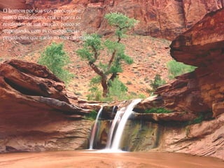 O homem por sua vez, preocupa-se  com o crescimento, cria e ignora os  resultados de sua criação, pouco se  importando, com as conseqüências  prejudiciais que trarão ao meio ambiente.  