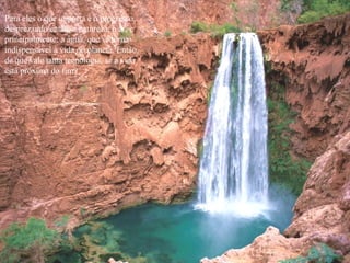 Para eles o que importa é o progresso,  desprezando então, a natureza, o ar, e  principalmente: a água, que se torna  indispensável à vida no planeta. Então,  de que vale tanta tecnologia, se a vida  está próxima do fim?  