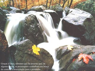 Graças à Deus, sabemos que há pessoas que, de alguma forma, se preocupam e trabalham em busca de controle e amenização para o problema. 