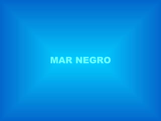 MAR NEGRO 