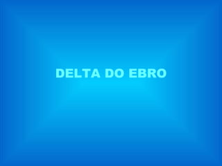 DELTA DO EBRO 