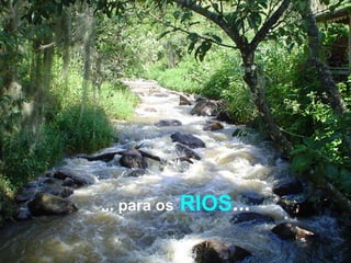 ... para os   RIOS ... 