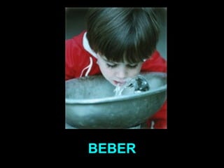 BEBER 