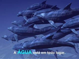 A   ÁGUA   está em todo lugar. 