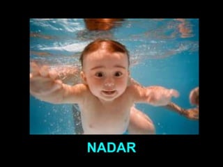 NADAR 