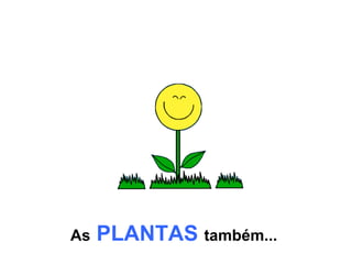 As   PLANTAS   também...   