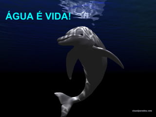 ÁGUA É VIDA! 