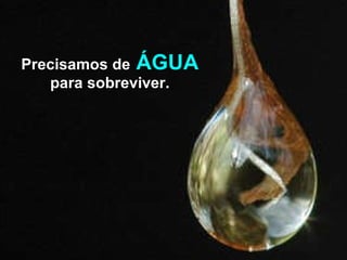 Precisamos de   ÁGUA   para sobreviver. 