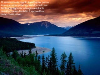 O tratamento de esgoto é vantajoso, pois o
lodo que sobra pode ser transformado em
fertilizante agrícola; o biogás resultante
desse processo também é aproveitável
como combustível.
 