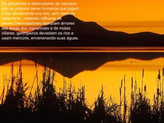 Os poluidores e destruidores da natureza
são os próprios seres humanos que jogam
o lixo diretamente nos rios, sem nenhum
tratamento, matando milhares de
peixes.Desmatadores derrubam árvores
das áreas dos mananciais e de matas
ciliares, garimpeiros devastam os rios e
usam mercúrio, envenenando suas águas.
 