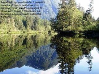 A atividade agrícola também é poluidora
da água, já que os pesticidas e os
agrotóxicos são levados pela água da
chuva para os rios e mananciais ou
penetram o solo atingindo os lençóis
freáticos.
 