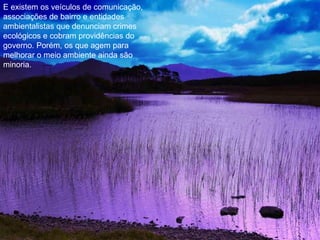 E existem os veículos de comunicação,
associações de bairro e entidades
ambientalistas que denunciam crimes
ecológicos e cobram providências do
governo. Porém, os que agem para
melhorar o meio ambiente ainda são
minoria.
 