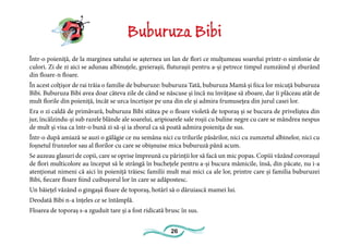 26
Buburuza Bibi
Într-o poieniță, de la marginea satului se așternea un lan de flori ce mulțumeau soarelui printr-o simfonie de
culori. Zi de zi aici se adunau albinuțele, greierașii, fluturașii pentru a-și petrece timpul zumzăind și zburând
din floare-n floare.
În acest colțișor de rai trăia o familie de buburuze: buburuza Tată, buburuza Mamă și fiica lor micuță buburuza
Bibi. Buburuza Bibi avea doar câteva zile de când se născuse și încă nu învățase să zboare, dar îi plăceau atât de
mult florile din poieniță, încât se urca încetișor pe una din ele și admira frumusețea din jurul casei lor.
Era o zi caldă de primăvară, buburuza Bibi stătea pe o floare violetă de toporaș și se bucura de priveliștea din
jur, încălzindu-și sub razele blânde ale soarelui, aripioarele sale roșii cu buline negre cu care se mândrea nespus
de mult și visa ca într-o bună zi să-și ia zborul ca să poată admira poienița de sus.
Într-o după amiază se auzi o gălăgie ce nu semăna nici cu trilurile păsărilor, nici cu zumzetul albinelor, nici cu
foșnetul frunzelor sau al florilor cu care se obișnuise mica buburuză până acum.
Se auzeau glasuri de copii, care se oprise împreună cu părinții lor să facă un mic popas. Copiii văzând covorașul
de flori multicolore au început să le strângă în buchețele pentru a-și bucura mămicile, însă, din păcate, nu i-a
atenționat nimeni că aici în poieniță trăiesc familii mult mai mici ca ale lor, printre care și familia buburuzei
Bibi, fiecare floare fiind cuibușorul lor în care se adăpostesc.
Un băiețel văzând o gingașă floare de toporaș, hotărî să o dăruiască mamei lui.
Deodată Bibi n-a înțeles ce se întâmplă.
Floarea de toporaș s-a zguduit tare și a fost ridicată brusc în sus.
 
