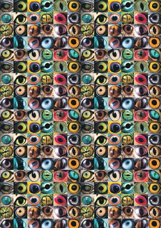 Planetadoc programação