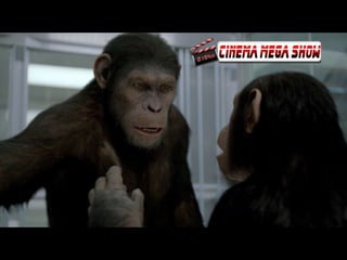 Planeta dos Macacos A Origem