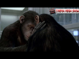 Planeta dos Macacos A Origem