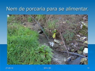 Nem de porcaria para se alimentar. 27-08-10 EFA  B3 