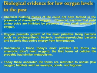  Chemical building blocks of life could not have formed in the
presence of atmospheric oxygen. Chemical reactions that yield
amino acids are inhibited by presence of very small amounts of
oxygen.
 Oxygen prevents growth of the most primitive living bacteria
such as photosynthetic bacteria, methane-producing bacteria
and bacteria that derive energy from fermentation.
 Conclusion - Since today's most primitive life forms are
anaerobic (don’t need oxygen), the first forms of cellular life
probably had similar metabolisms.
 Today these anaerobic life forms are restricted to anoxic (low
oxygen) habitats such as swamps, ponds, and lagoons.
 