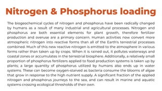 Nitrogen & Phosphorus loading
The biogeochemical cycles of nitrogen and phosphorus have been radically changed
by humans as a result of many industrial and agricultural processes. Nitrogen and
phosphorus are both essential elements for plant growth, therefore fertilizer
production and overuse are a primary concern. Human activities now convert more
atmospheric nitrogen into reactive forms than all of the Earth's terrestrial processes
combined. Much of this new reactive nitrogen is emitted to the atmosphere in various
forms rather than taken up by crops. When it is rained out, it pollutes waterways and
coastal zones or accumulates in the terrestrial biosphere. Additionally, a relatively small
proportion of phosphorus fertilizers applied to food production systems is taken up by
plants; a large quantity of phosphorus utilized by humans also ends up in water
systems. These can become oxygen-starved as bacteria consume the blooms of algae
that grow in response to the high nutrient supply. A significant fraction of the applied
nitrogen and phosphorus journeys to the sea, and can result in marine and aquatic
systems crossing ecological thresholds of their own.
 