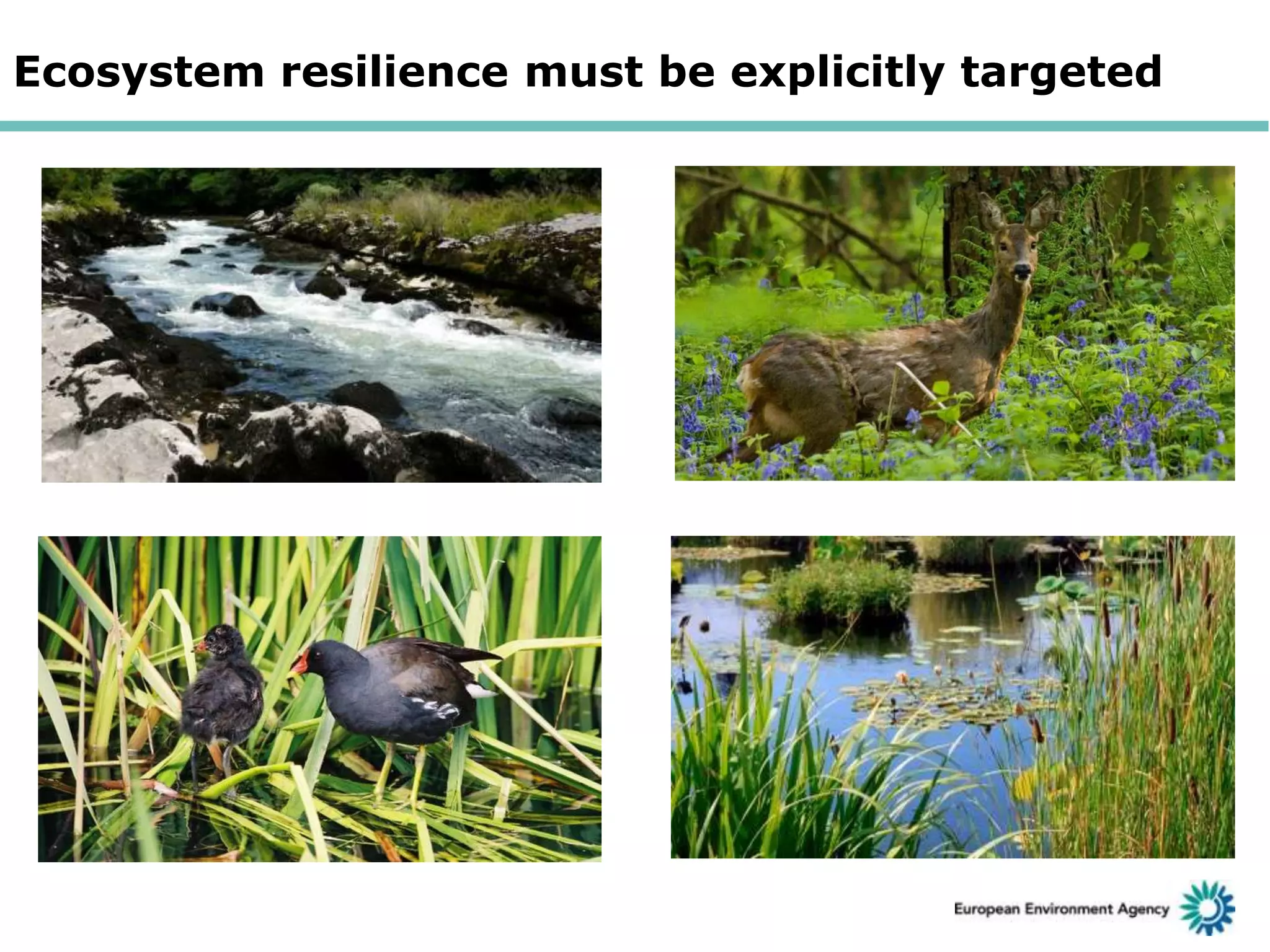 Ecosystem resilience must be explicitly targeted

 
