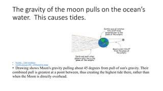 The gravity of the moon pulls on the ocean’s
water. This causes tides.
• Scijinks :: Tidal weirdness
• scijinks.nasa.gov500 × 284Search by image
• Drawing shows Moon's gravity pulling about 45 degrees from pull of sun's gravity. Their
combined pull is greatest at a point between, thus creating the highest tide there, rather than
when the Moon is directly overhead.
 