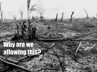 Why are we allowing this?