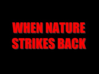 EFFECTS Damages trees and affects their growth