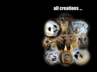 all creations …