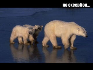 no exception…