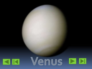 Venus