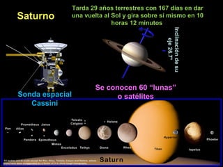 Saturno
Se conocen 60 “lunas”
o satélites
Tarda 29 años terrestres con 167 días en dar
una vuelta al Sol y gira sobre sí mismo en 10
horas 12 minutos
Sonda espacial
Cassini
InclinacióndesuInclinacióndesu
eje26.7°eje26.7°
 