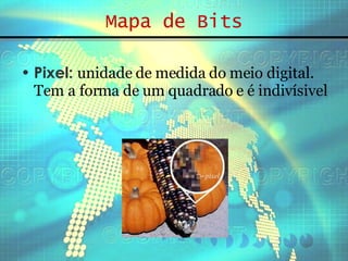 Mapa de Bits Pixel:   unidade de medida do meio digital. Tem a forma de um quadrado e é indivísivel 
