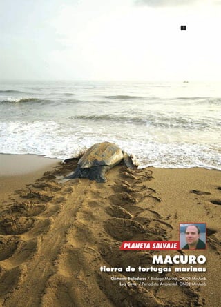 1

PLANETA SALVAJE

MACURO
tierra de tortugas marinas
Clemente Balladares / Biólogo Marino. ONDB-MinAmb
Luis Cova / Periodista Ambiental. ONDB-MinAmb

 