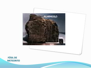 FÓSIL DE
METEORITO
 