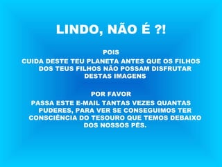 LINDO, NÃO É ?!
POIS
CUIDA DESTE TEU PLANETA ANTES QUE OS FILHOS
DOS TEUS FILHOS NÃO POSSAM DISFRUTAR
DESTAS IMAGENS
POR FAVOR
PASSA ESTE E-MAIL TANTAS VEZES QUANTAS
PUDERES, PARA VER SE CONSEGUIMOS TER
CONSCIÊNCIA DO TESOURO QUE TEMOS DEBAIXO
DOS NOSSOS PÉS.
 