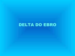 DELTA DO EBRO
 