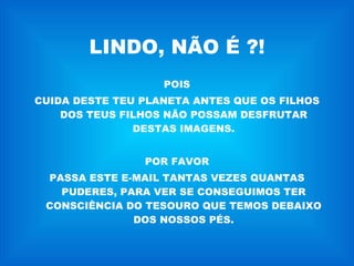 LINDO, NÃO É ?! POIS CUIDA DESTE TEU PLANETA ANTES QUE OS FILHOS DOS TEUS FILHOS NÃO POSSAM DESFRUTAR DESTAS IMAGENS. POR FAVOR PASSA ESTE E-MAIL TANTAS VEZES QUANTAS PUDERES, PARA VER SE CONSEGUIMOS TER CONSCIÊNCIA DO TESOURO QUE TEMOS DEBAIXO DOS NOSSOS PÉS. 