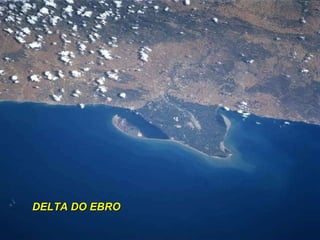 DELTA DO EBRO 