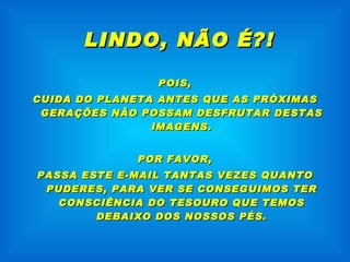 LINDO, NÃO É?! POIS, CUIDA DO PLANETA ANTES QUE AS PRÓXIMAS GERAÇÕES NÃO POSSAM DESFRUTAR DESTAS IMAGENS. POR FAVOR, PASSA ESTE E-MAIL TANTAS VEZES QUANTO PUDERES, PARA VER SE CONSEGUIMOS TER CONSCIÊNCIA DO TESOURO QUE TEMOS DEBAIXO DOS NOSSOS PÉS. 