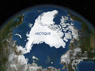 ARCTIQUE
 