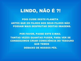 LINDO, NÃO É ?! POIS CUIDE DESTE PLANETA  ANTES QUE OS FILHOS DOS SEUS FILHOS NÃO POSSAM MAIS DESFRUTAR DESTAS IMAGENS. POR FAVOR, PASSE ESTE E-MAIL  TANTAS VEZES QUANTAS PUDER, PARA VER SE CONSEGUIMOS CRIAR CONSCIÊNCIA DO TESOURO QUE TEMOS  DEBAIXO DE NOSSOS PÉS. 