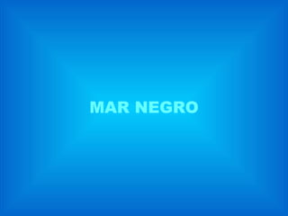 MAR NEGRO 