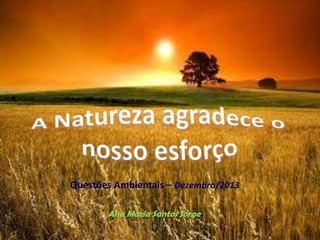 Questões Ambientais – Dezembro/2013
Ana Maria Santos Jorge

 