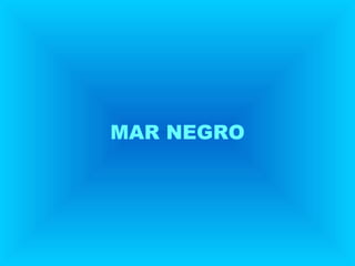 MAR NEGRO
 