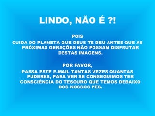 LINDO, NÃO É ?!
POIS
CUIDA DO PLANETA QUE DEUS TE DEU ANTES QUE AS
PRÓXIMAS GERAÇÕES NÃO POSSAM DISFRUTAR
DESTAS IMAGENS.
POR FAVOR,
PASSA ESTE E-MAIL TANTAS VEZES QUANTAS
PUDERES, PARA VER SE CONSEGUIMOS TER
CONSCIÊNCIA DO TESOURO QUE TEMOS DEBAIXO
DOS NOSSOS PÉS.
 