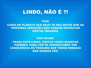 LINDO, NÃO É ?! POIS CUIDA DO PLANETA QUE DEUS TE DEU ANTES QUE AS PRÓXIMAS GERAÇÕES NÃO POSSAM DISFRUTAR DESTAS IMAGENS. POR FAVOR, PASSA ESTE E-MAIL TANTAS VEZES QUANTAS PUDERES, PARA VER SE CONSEGUIMOS TER CONSCIÊNCIA DO TESOURO QUE TEMOS DEBAIXO DOS NOSSOS PÉS. 