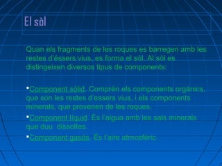 Quan els fragments de les roques es barregen amb les
restes d’éssers vius, es forma el sòl. Al sòl es
distingeixen diversos tipus de components:
Component sòlid. Comprèn els components orgànics,

que són les restes d’essers vius, i els components
minerals, que provenen de les roques.
Component líquid. És l’aigua amb les sals minerals
que duu dissoltes.
Component gasós. És l’aire atmosfèric.

 