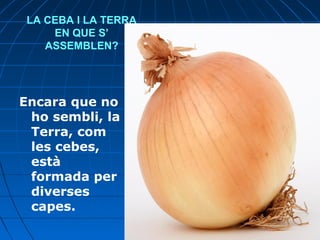 LA CEBA I LA TERRA
EN QUE S’
ASSEMBLEN?

Encara que no
ho sembli, la
Terra, com
les cebes,
està
formada per
diverses
capes.

 