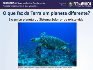 É o único planeta do Sistema Solar onde existe vida.
GEOGRAFIA, 6º Ano
Planeta Terra: nave em que viajamos
O que faz da Terra um planeta diferente?
Imagem: Tartaruga Marinha / Original uploader was Hoffryan at en.wikipedia / Domínio Público
do Ensino Fundamental
 